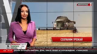 Новости Волгограда и Волгоградской области 18 07 2020