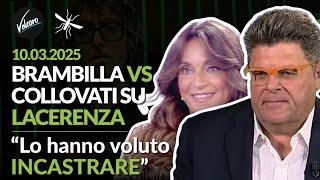 Gianluca Brambilla vs Caterina Collovati su Lacerenza - "Lo hanno voluto incastrare" - 10.03.2025