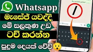 Whatsapp secret tricks and tips new 2021 Shark boy sl | whatsapp rahas