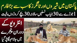 Biggest Lion Farm in lahore Pakistan