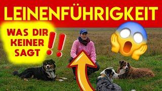 Was dir KEIN Hundetrainer sagt LEINENFÜHRIGKEIT umdenken und Erfolg genießen  SO GEHT'S WIRKLICH