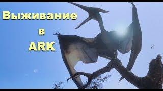 Выживание в ARK Survival Evolved - Охота на птеродактиля #8