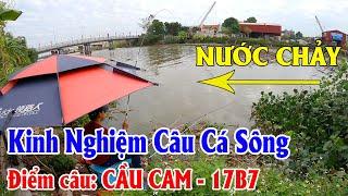 Kinh Nghiệm Câu Cá Sông NƯỚC CHẢY | Điểm CẦU CAM - 17B7 Bãi Câu Diếc, Chép Siêu Đẹp!