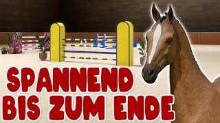 Das Publikum fiebert mit!  Pro Show Jumping