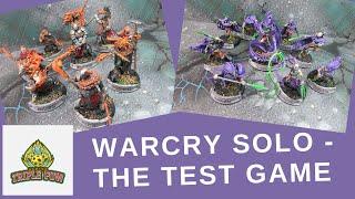 Warcry Solo - The Test Game!