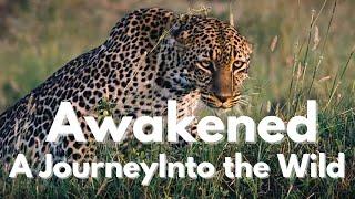 Awakened | Lost in the Wild | A Personal Journey Through Africa