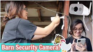 Installing a BARN CAMERA | What's Coming in The Barn?!?! Blurams Security Camera Lite 4 #blurmas