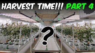 Building an AUTOMATED INDOOR GROW ROOM part 4