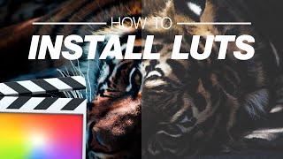 How To Install LUTs in Final Cut Pro X (.Cube Files)