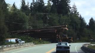 Logging truck vs power lines... oops