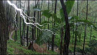 Peaceful Thunderstorm and Rain to Fall Asleep Faster and Wake Up Refreshed | Rainlaxation