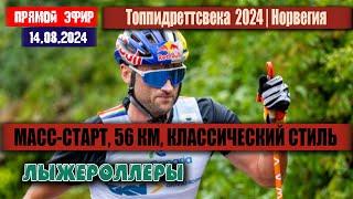 МАРАФОН 56КМ. Нортуг, Порома, Шлинн, Бреннан //Топпидреттсвека 2024 // 14.08.2024