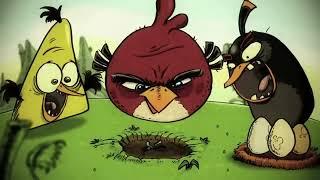 YTP Angry Birds Cinematic Madness