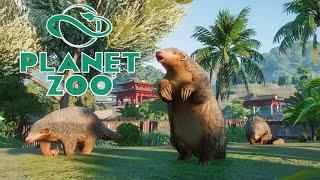 ICH HABE ES WIEDER GETAN #22 PLANET ZOO - Let's Play Planet Zoo