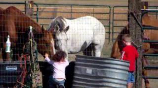 jake and ellie with the horses