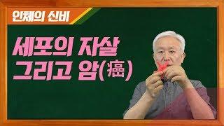 [E138] - 인체의 신비, 세포의 죽음과 암