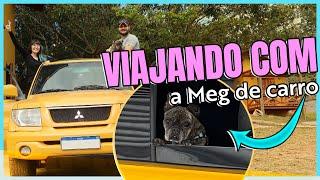 Dicas para VIAJAR com CACHORRO de CARRO e evitar perrengue - Meg viajante!