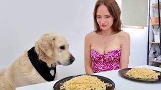 Spaghetti Eating Competition: Golden Retriever Dog vs. Owner