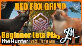 2100ks A Game of Wits: Hunter vs. Great One Fox! The Great Fox Saga!- NEW ALERTS - 1JMGames