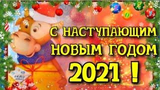 Поздравление с Наступающим Новым 2021 Годом Быка!