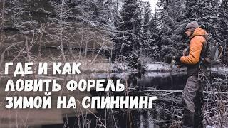 ЗИМНЯЯ РЫБАЛКА НА СПИННИНГ. Как и на что ловить форель на спиннинг зимой. Зимние приманки на форель