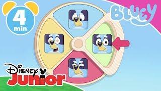 Bluey | Learn About Feelings With Bluey   | Disney Kids