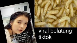 Belatung Di Viral TikTok Video, Belatung Viral Video, Belatung Tiktok @dd.business.p #shorts