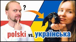 Polish Ukrainian Mutually Intelligible? | Animals | Slavic Languages Comparison