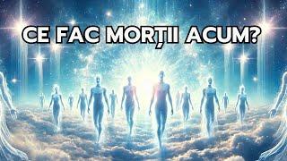 CE FAC MORȚII ACUM