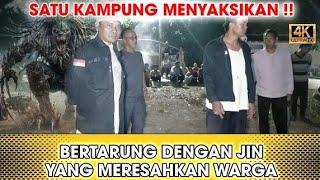 PERTARUNGAN SENGIT‼️BERSIHKAN KAMPUNG