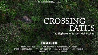 Trailer - Crossing Paths - The Elephants of Eastern Maharashtra