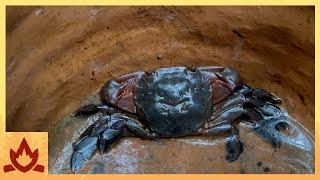 Primitive Technology: Crab and Fish Trap