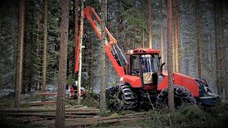 NISULA N5 havukon harventelua, osa 1/2.