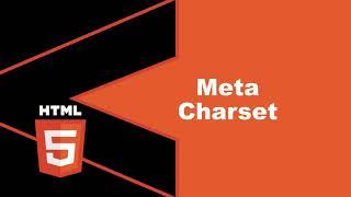 Meta Charset | HTML Course | PubliZoom