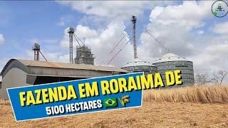  Fazenda em Roraima de 5100 hectares na região do Bonfim - Dupla aptidão agrícola 