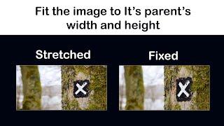 Fit an Image to it's parent width and height without stretching | object-fit property