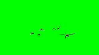 Bee Swarm Animation Green Screen Background