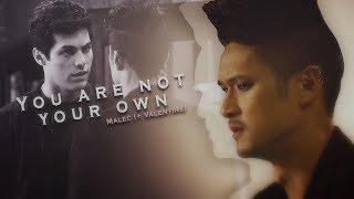 You Are Not Your Own | Malec (+2x12)