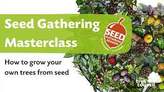 Seed Gathering Season 2023: Masterclass - how to grow your own trees from seeds