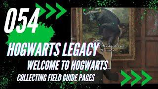 054 Hogwarts Legacy Welcome to Hogwarts: Collecting Field Guide Pages