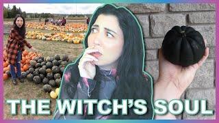 On The Hunt For A Rare Black Pumpkin