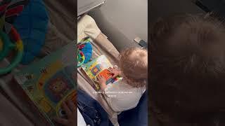 Airbaby авианяня гамак в самолёт| Air-baby.ru