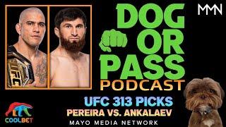 UFC 313, Bets, Props | Pereira vs Ankalaev Fight Previews, Predictions