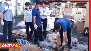 Gần 45kg Bong Bóng Cá Sửu Macdonald "Ẩn Mình" Trong Lớp Cá Đông Lạnh | Tin Tức 24h | ANTV