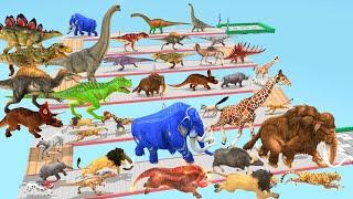 Which Animal vs Dinosaurs Speed Race Run Zigzag Down Course! from Outside Animal Revolt Battle Simul