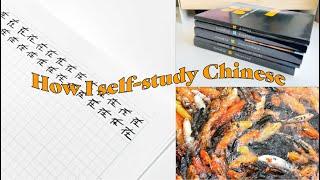 My methods + resources for self-studying Chinese | How to become fluent in any language for free