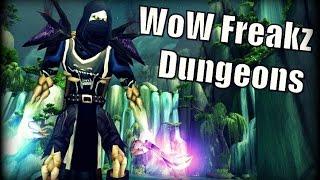 WoW Freakz 5.4.8 Private Server - My Dungeon Experience