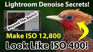 Lightroom Denoise Secrets: Make ISO 12,800 Look Like ISO 400!