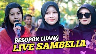 BESOPOK LUANG AZYA MUSIK LIVE NYONGKOLAN DI SAMBELIA TERBARU