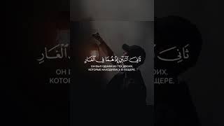 Сура Ат Тауба. Слушай Коран  #Коран #shorts #Quran